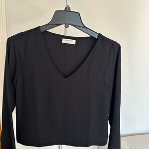 Aritzia Babaton Black V-Neck Blouse